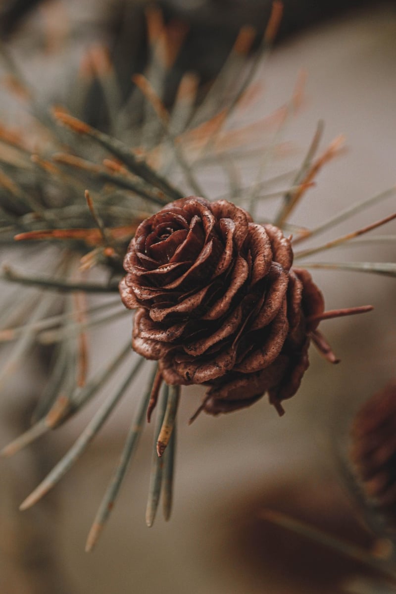 Pruning Techniques
