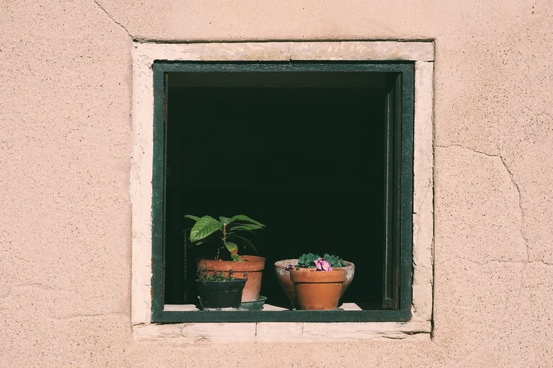 Vertical Plant Stand